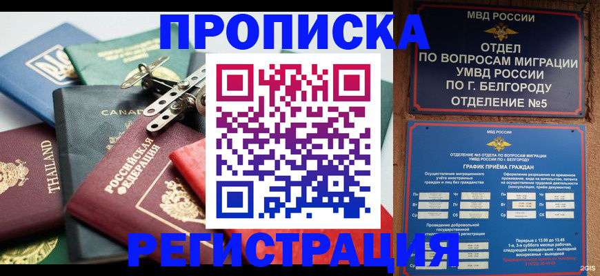 временная регистрация недорого в Елизово